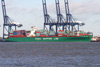 CSCL-Hong-Kong-20-Jan-07.jpg (97974 bytes)