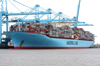 Elly-Maersk-20-June-2010.jpg (224128 bytes)