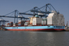 Lars-Maersk--11-July-2013.jpg