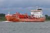 Rita-Ievoli----16-May-2026