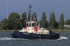VB-Beagle----16-May-2026